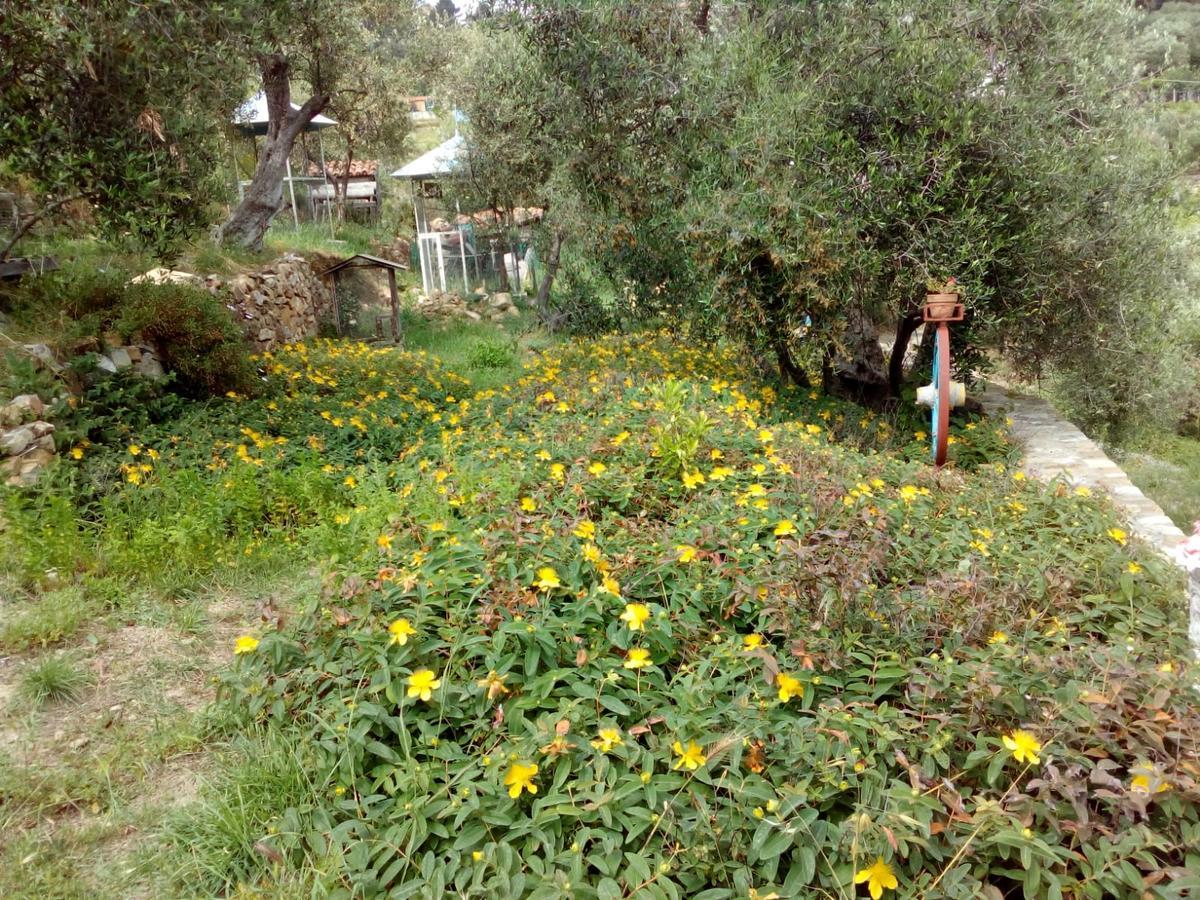 Villa Imperia Империа Екстериор снимка